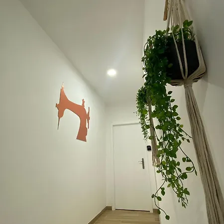 Singer's Lounge Villa Porto de Mós