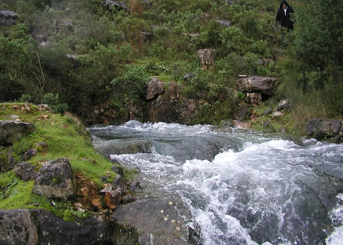 וילה Singer's Lounge *